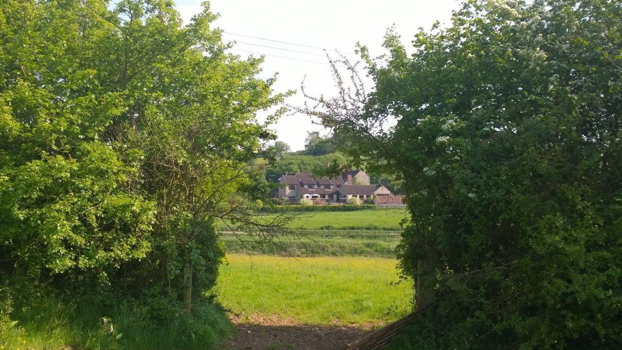 Cameley Lodge - Self Catering 템플클라우드 외부 사진